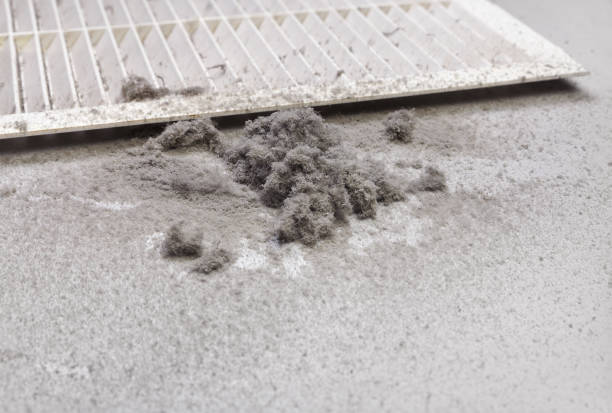 Best Dryer Vent Cleaning Services  in Lauderdale Lakes, FL